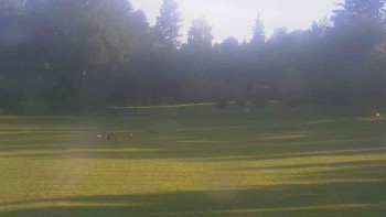 Ski klub RD Rýmařov
