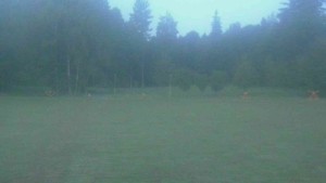 Ski klub RD Rýmařov - Areál ski klubu - 13.7.2026 v 04:30