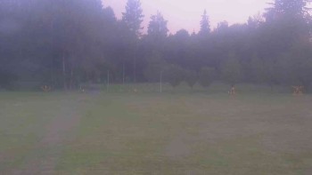 Ski klub RD Rýmařov