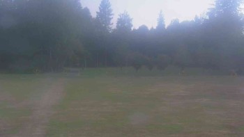 Ski klub RD Rýmařov