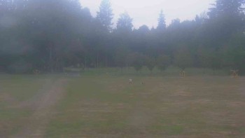 Ski klub RD Rýmařov