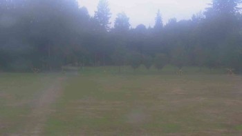 Ski klub RD Rýmařov