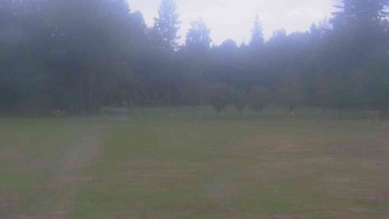 Ski klub RD Rýmařov