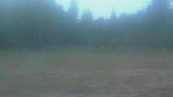 Ski klub RD Rýmařov