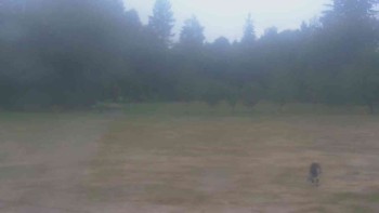 Ski klub RD Rýmařov