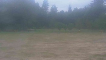Ski klub RD Rýmařov