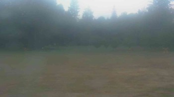 Ski klub RD Rýmařov