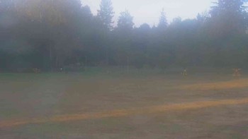 Ski klub RD Rýmařov