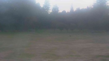Ski klub RD Rýmařov