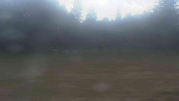 Ski klub RD Rýmařov
