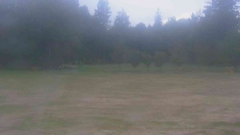 Ski klub RD Rýmařov