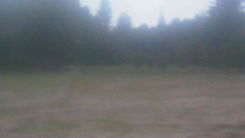 Ski klub RD Rýmařov