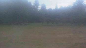 Ski klub RD Rýmařov