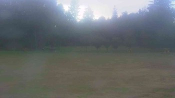 Ski klub RD Rýmařov