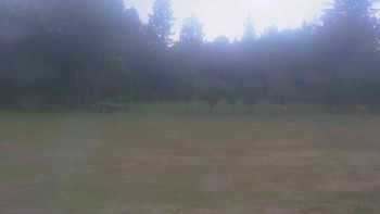 Ski klub RD Rýmařov