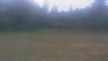 Ski klub RD Rýmařov