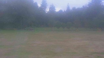 Ski klub RD Rýmařov