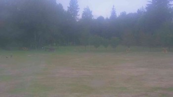 Ski klub RD Rýmařov