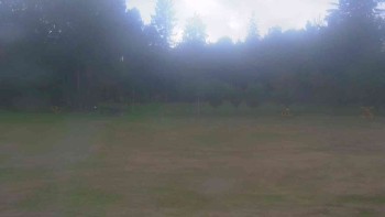 Ski klub RD Rýmařov