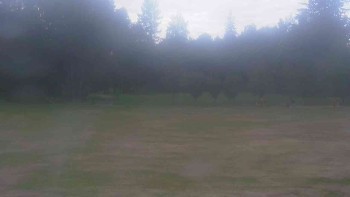 Ski klub RD Rýmařov