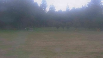 Ski klub RD Rýmařov