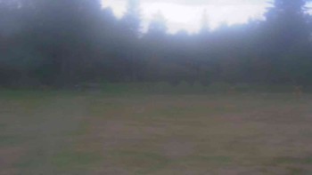 Ski klub RD Rýmařov