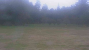 Ski klub RD Rýmařov