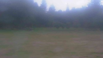 Ski klub RD Rýmařov