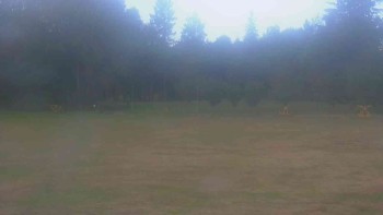 Ski klub RD Rýmařov