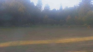 Ski klub RD Rýmařov - Areál ski klubu - 27.9.2026 v 07:30
