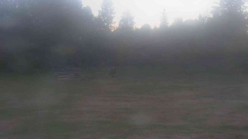 Ski klub RD Rýmařov