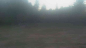 Ski klub RD Rýmařov