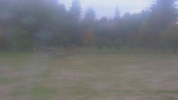 Ski klub RD Rýmařov