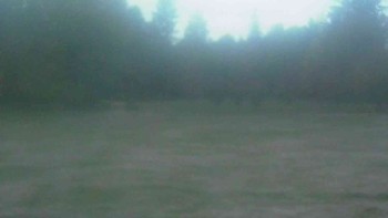 Ski klub RD Rýmařov