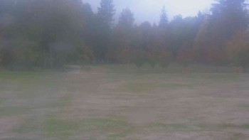 Ski klub RD Rýmařov