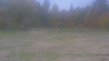 Ski klub RD Rýmařov
