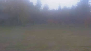 Ski klub RD Rýmařov