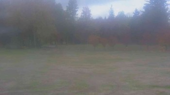 Ski klub RD Rýmařov