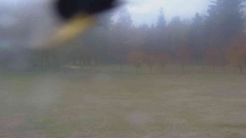 Ski klub RD Rýmařov
