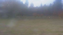 Ski club premises