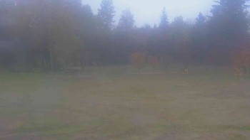 Ski klub RD Rýmařov
