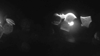 Snímek    23.10.2025 v 20:00