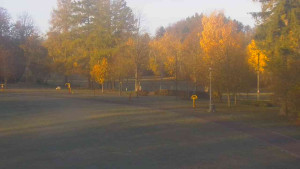 Ski klub RD Rýmařov - Areál ski klubu - 31.10.2025 v 07:30 Ski klub RD Rýmařov - Areál ski klubu - 31.10.2025 v 07:30