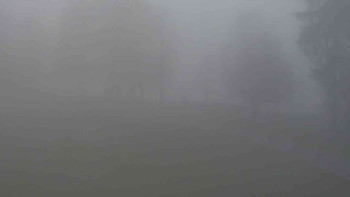 Ski klub RD Rýmařov