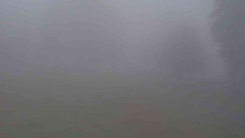 Ski klub RD Rýmařov