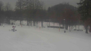 Ski klub RD Rýmařov - Areál ski klubu - 3.1.2026 v 13:30 Ski klub RD Rýmařov - Areál ski klubu - 3.1.2026 v 13:30