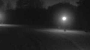 Ski klub RD Rýmařov - Areál ski klubu - 19.1.2026 v 17:30