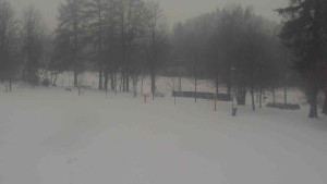 Ski klub RD Rýmařov - Areál ski klubu - 2.2.2026 v 11:00 Ski klub RD Rýmařov - Areál ski klubu - 2.2.2026 v 11:00