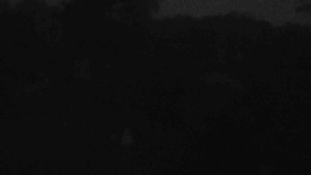 Snímek    19.10.2025 v 06:30