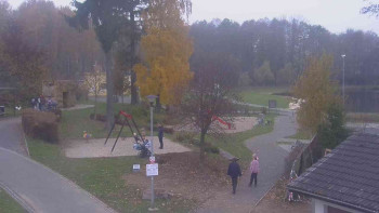 Snímek    2.11.2025 v 11:00